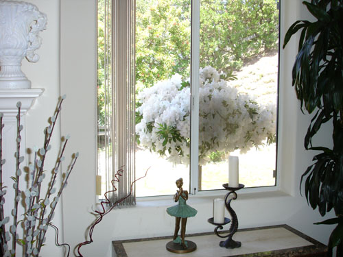 Decor