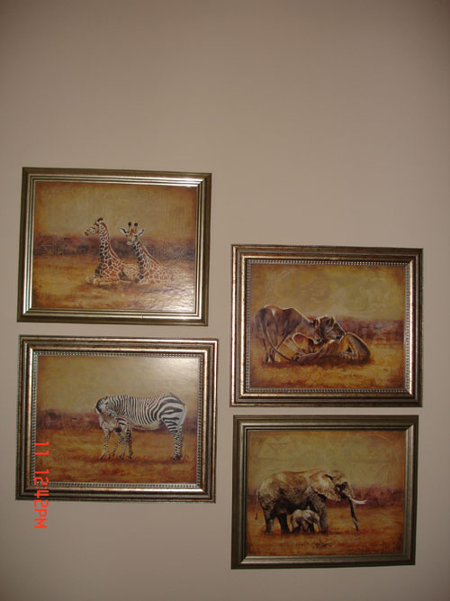 Pictures of wild animals